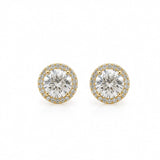 1ct Halo Earstuds LG