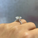 5ct Ivy Oval Solitaire LG