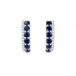 Blue Hoops LG