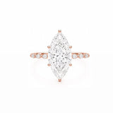 Crown Marquise Solitaire LG
