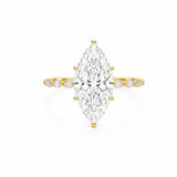 Crown Marquise Solitaire LG