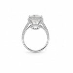 Eclipse Oval Solitaire LG