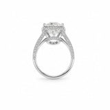 Eclipse Oval Solitaire LG