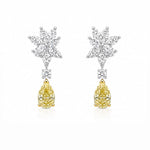 Golden Drop Earrings LG