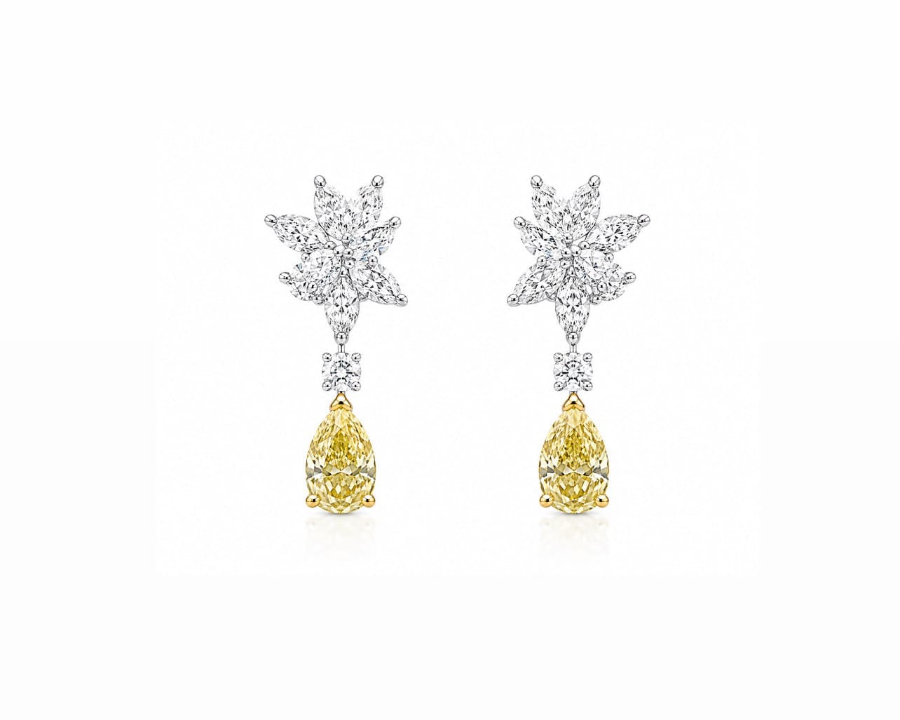 Golden Drop Earrings LG