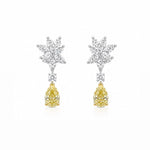 Golden Drop Earrings LG