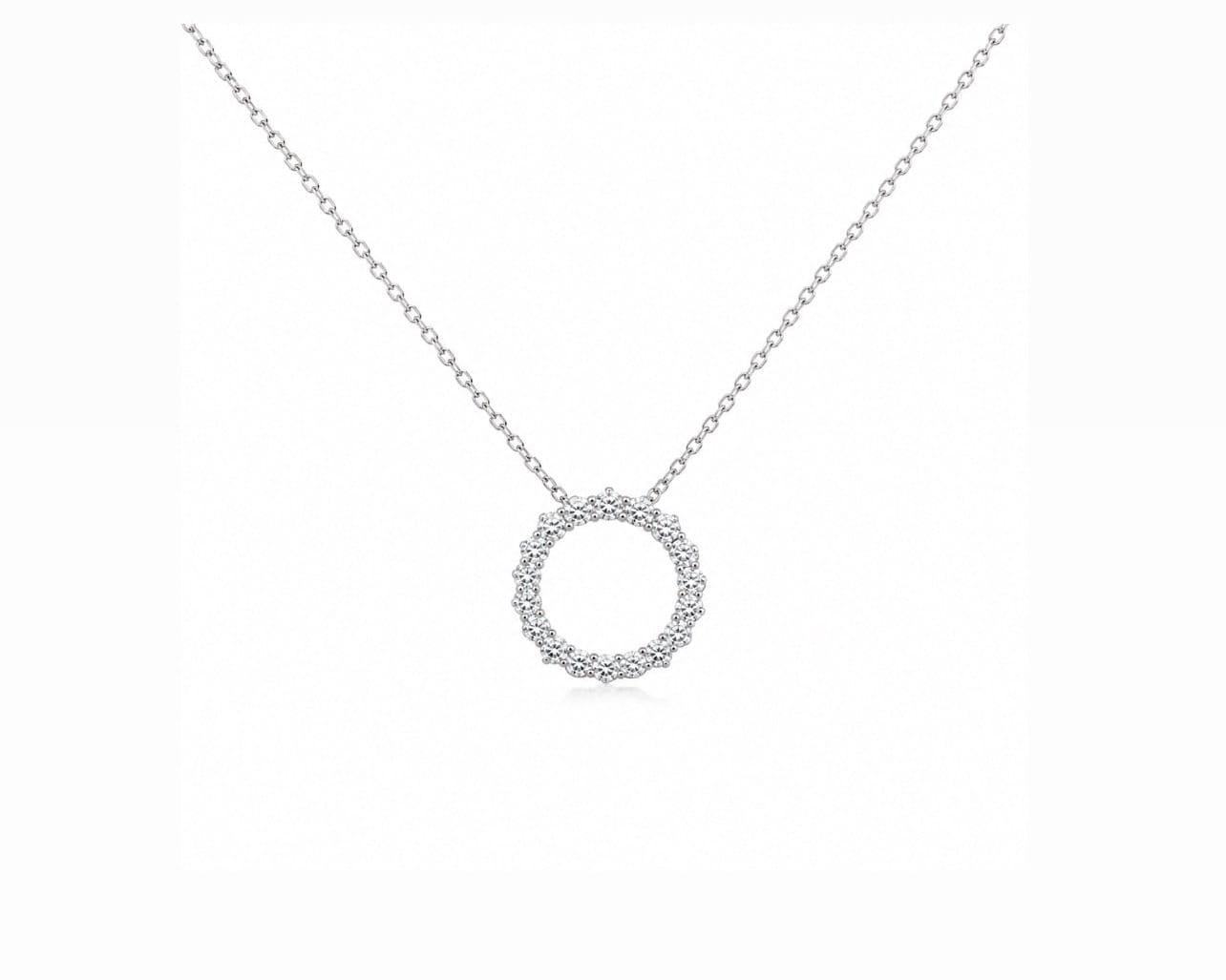 Infinity Circle Necklace LG