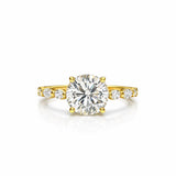 Ivy Brilliant Solitaire LG