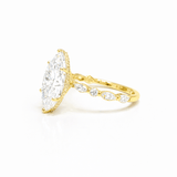 Ivy Marquise Solitaire LG