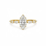 Ivy Marquise Solitaire LG
