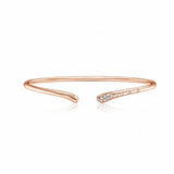 Le Embrace Bangle