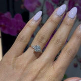 Lovely Brilliant Solitaire LG