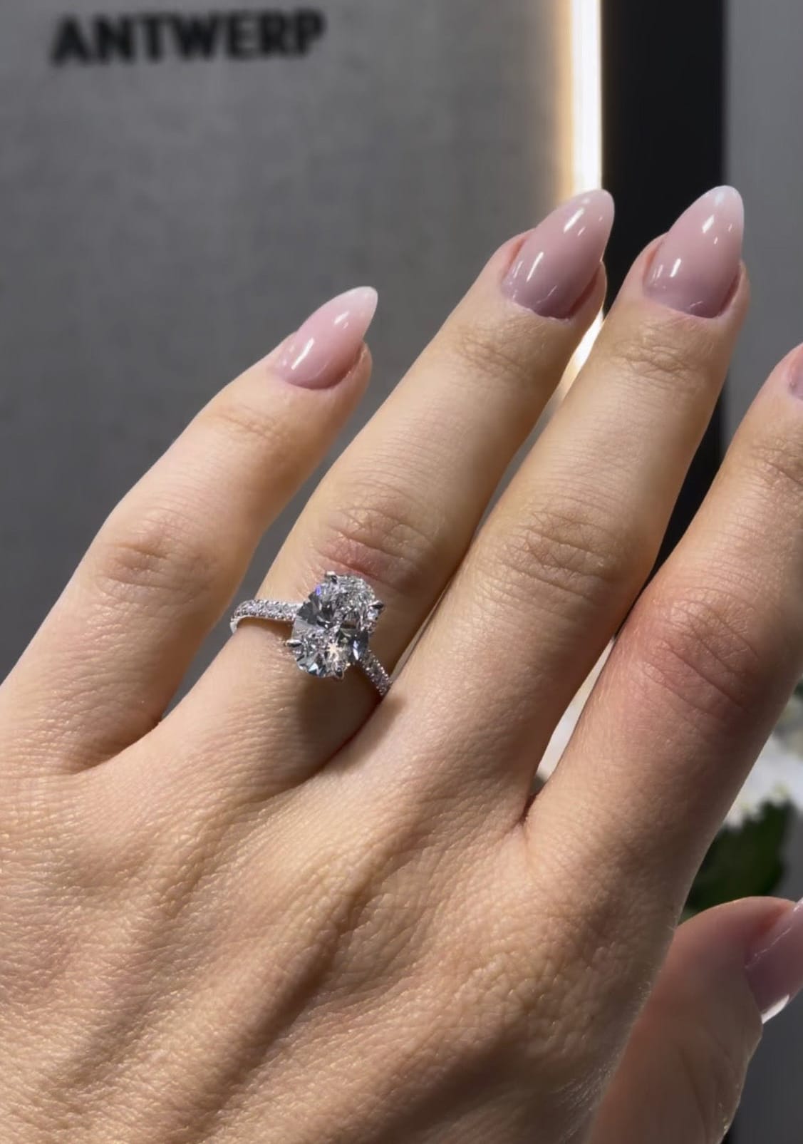 Oval Cathedral Solitaire LG