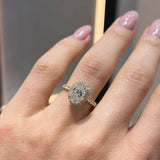 Oval Halo Solitaire LG