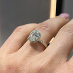 Oval Halo Solitaire LG