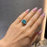 Paraiba Trilogy LG