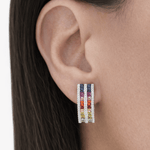Rainbow Earrings LG
