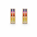 Rainbow Earrings LG