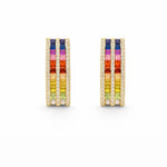 Rainbow Earrings LG