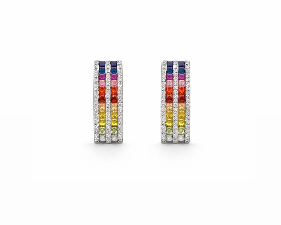 Rainbow Earrings LG