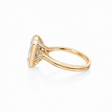 Signature Bezel Ring LG