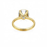 Signature Brilliant Ring LG