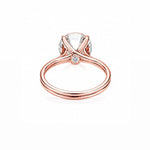 Signature Brilliant Ring LG