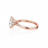 Signature Brilliant Ring LG
