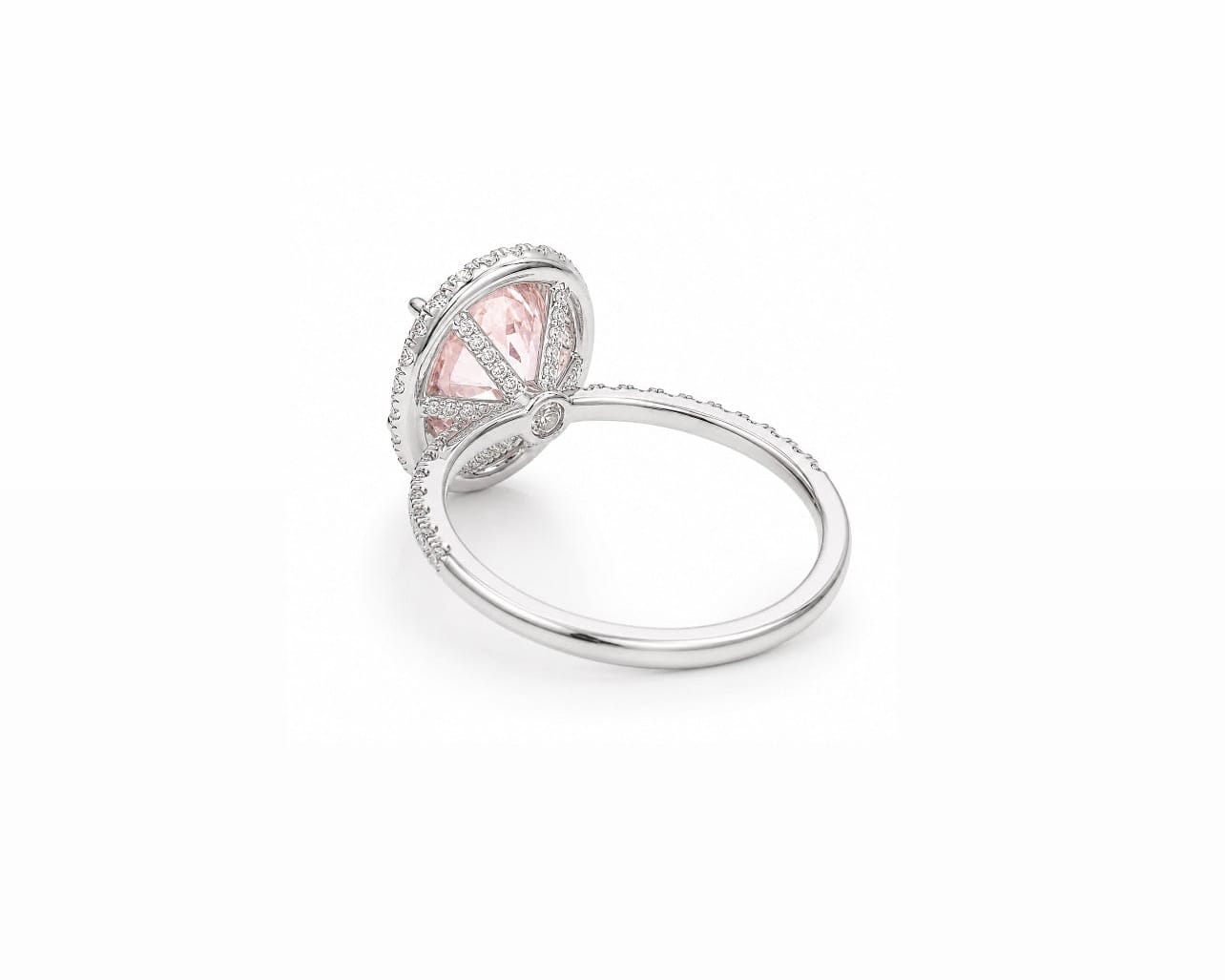 Signature Oval Pink Halo