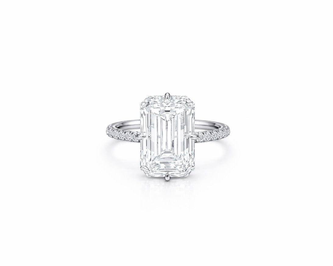 The Belvoir Ring LG