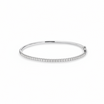 The Brilliant Bangle